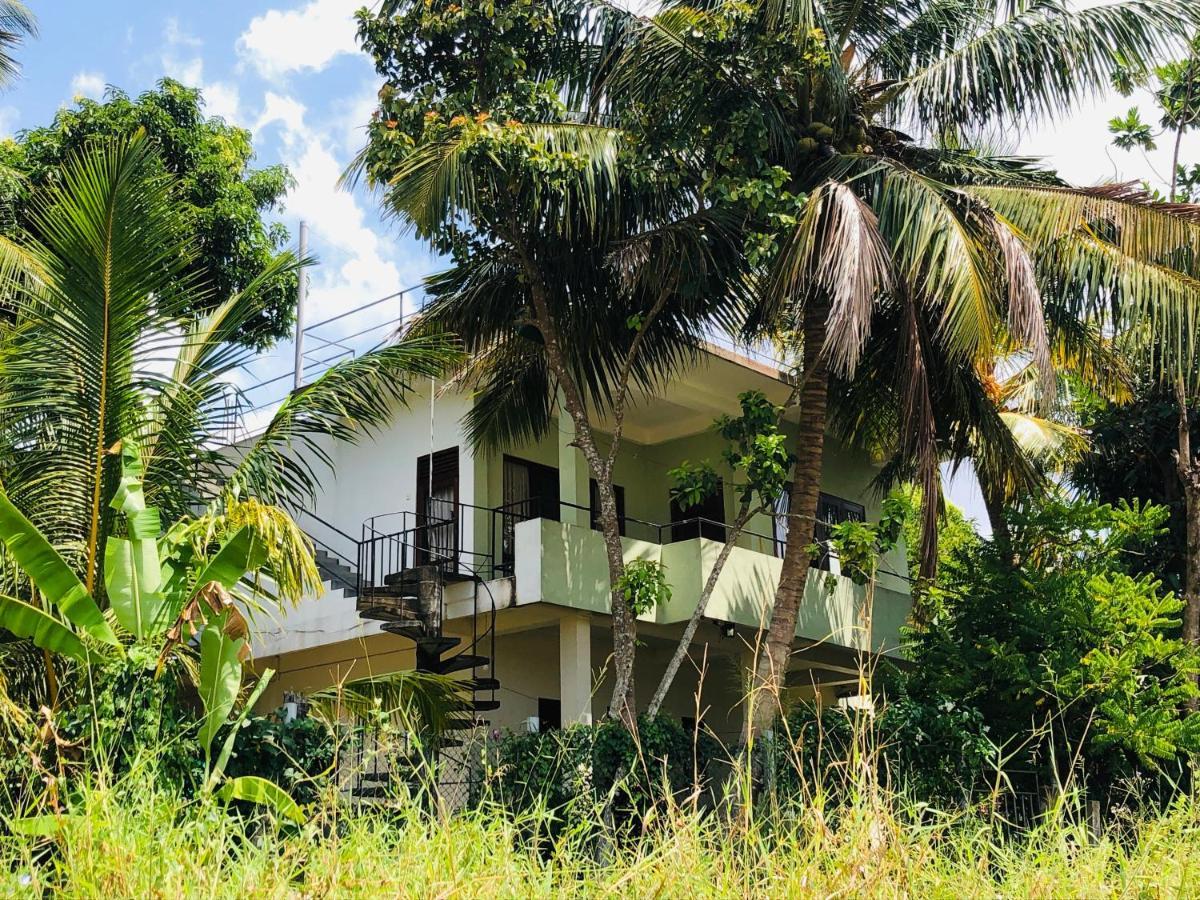 Rice Field View Home Stay Tangalle Exteriör bild